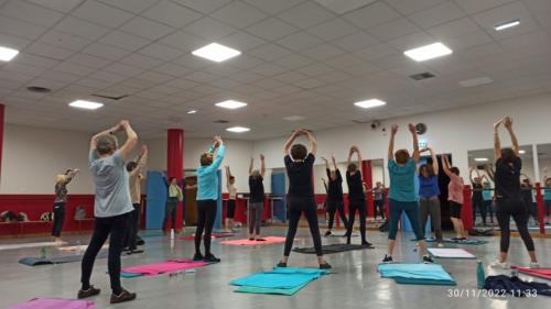 Association de gymnastique volontaire d'Amiens métropole